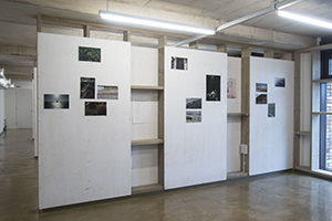 Bow Arts, Royal Albert Wharf, studios,